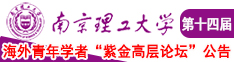 乱伦免费打造南京理工大学第十四届海外青年学者紫金论坛诚邀海内外英才！